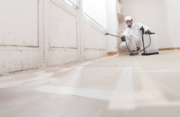24/7 Emergency Crawl Space Mold Removal experts in Triangle, VA